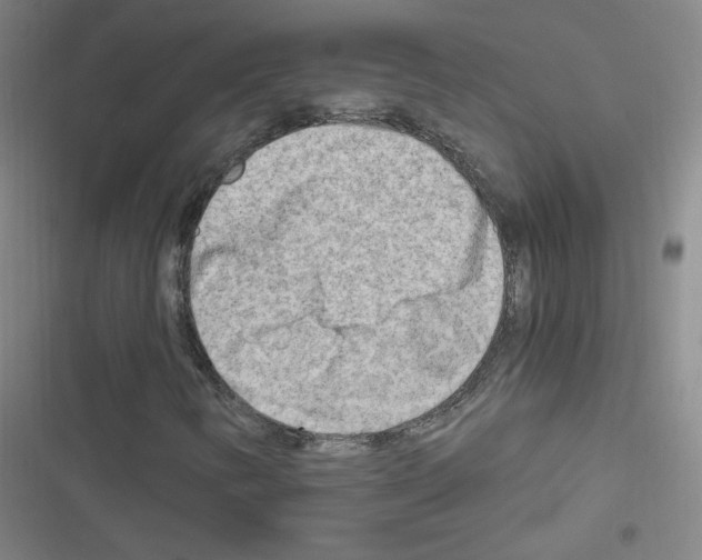 X0000116641346201001251127