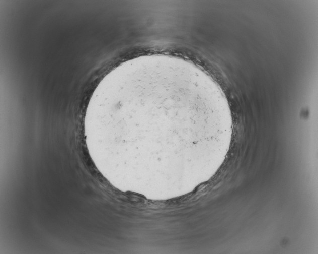 X0000116641349201001251127