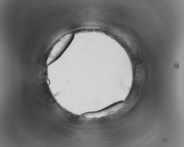 X0000116641352201001251127