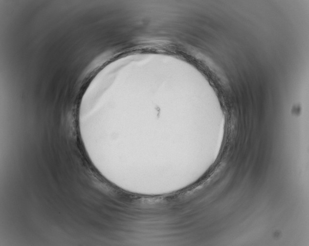 X0000116641354201001251127