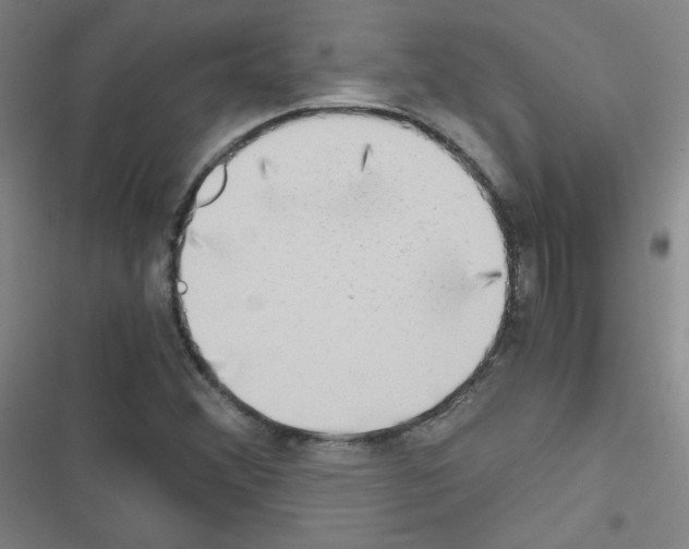 X0000116641356201001251127