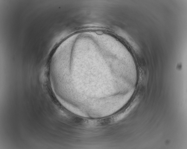 X0000116641357201001251127