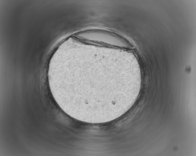 X0000116641359201001251127