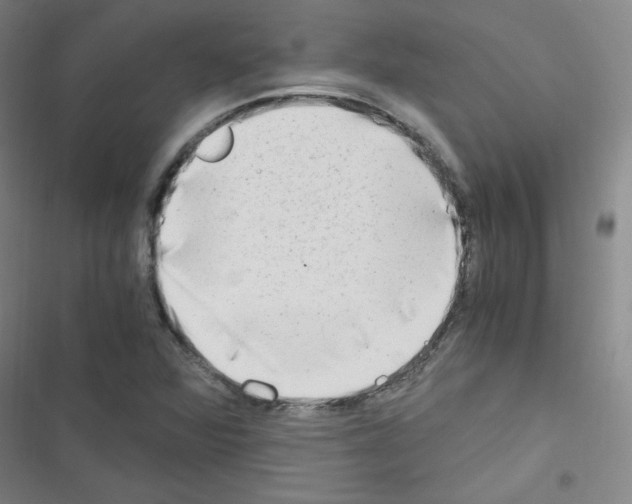 X0000116641360201001251127