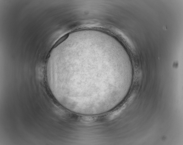 X0000116641361201001251127