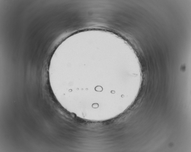 X0000116641363201001251127