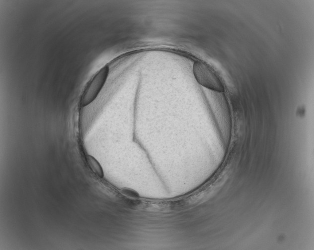 X0000116641365201001251127