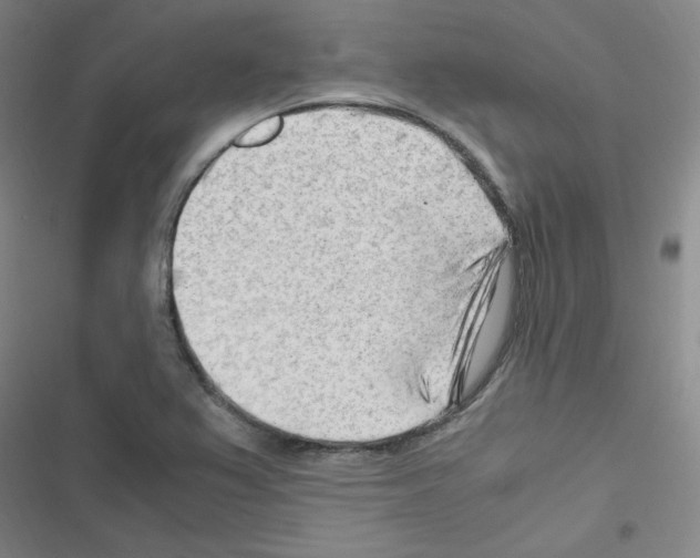 X0000116641367201001251127