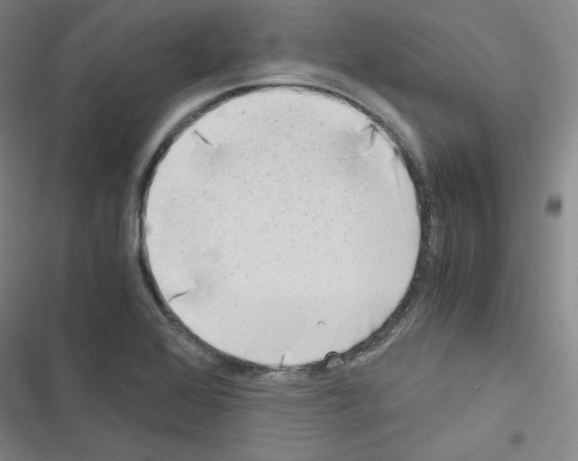 X0000116641368201001251127