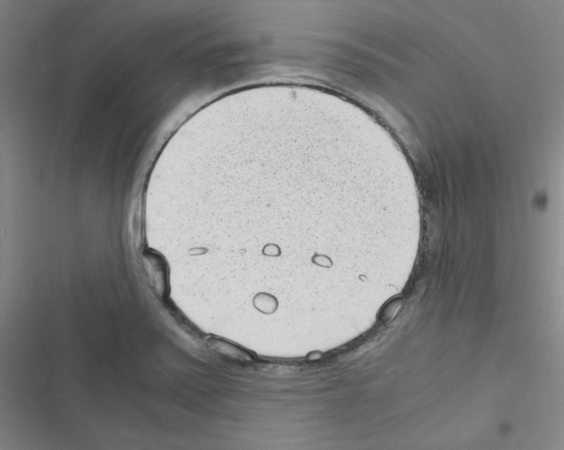 X0000116641371201001251127