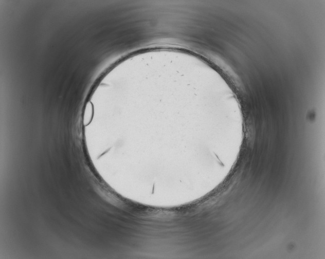 X0000116641372201001251127