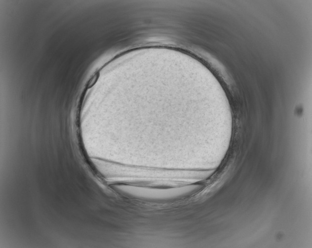 X0000116641373201001251127