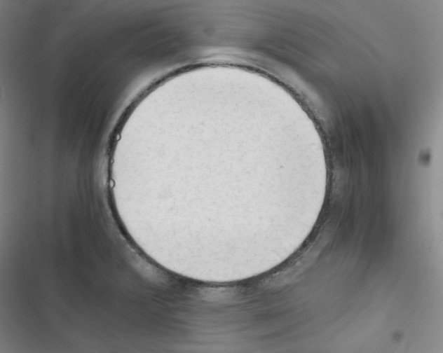 X0000116641376201001251127