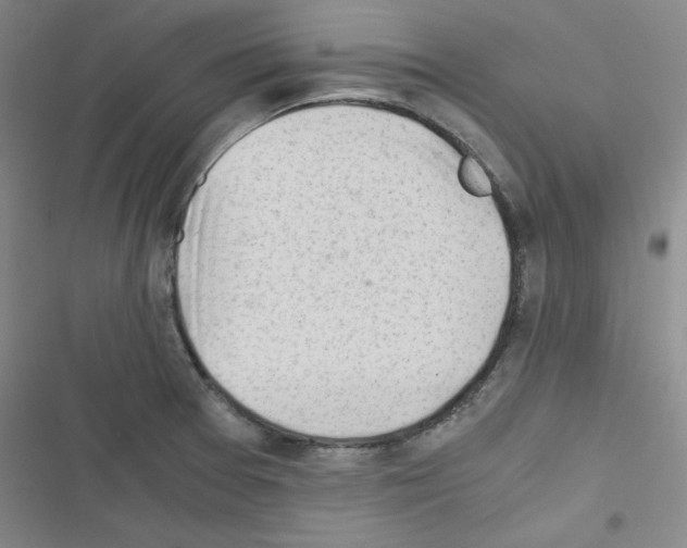 X0000116641377201001251127