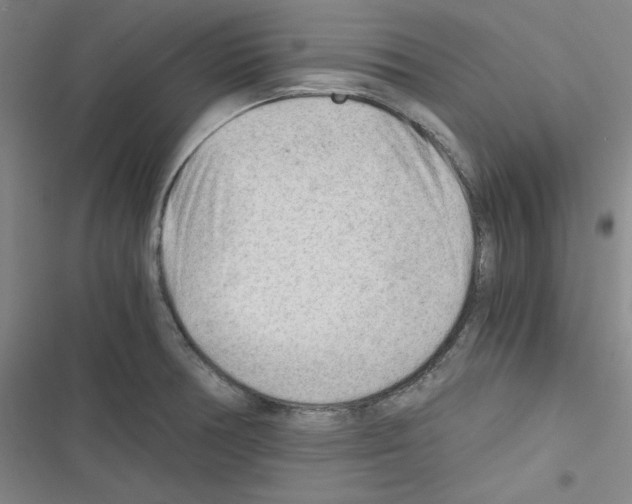 X0000116641378201001251127