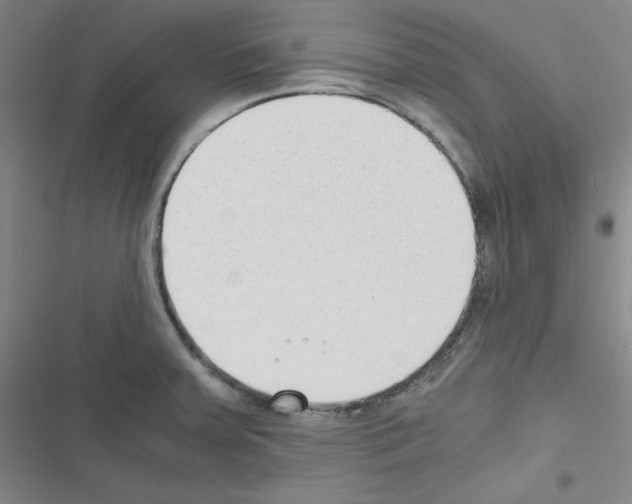 X0000116641379201001251127