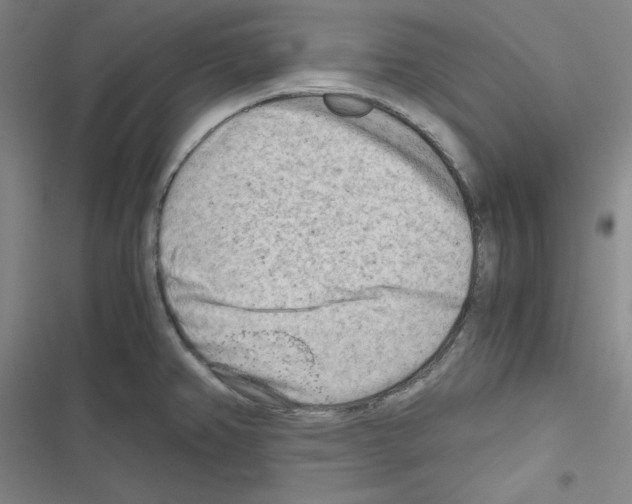 X0000116641382201001251127