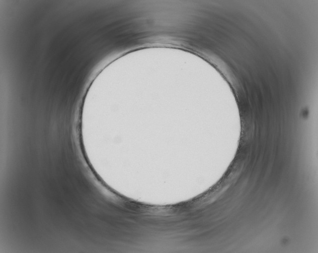 X0000116641387201001251127