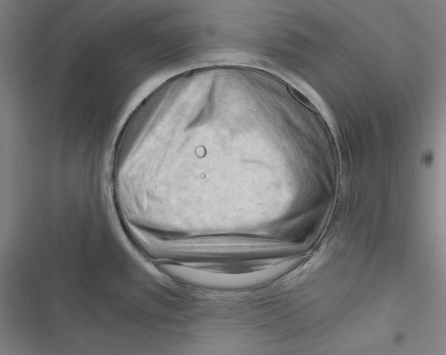 X0000116641389201001251127