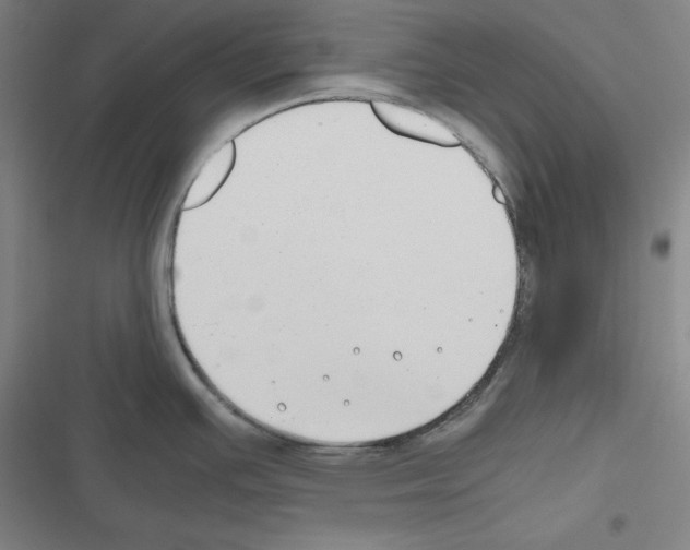 X0000116641391201001251127