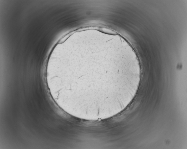 X0000116641392201001251127