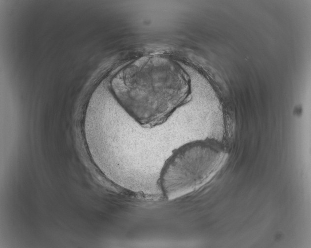 X0000116641393201001251126