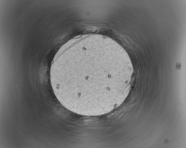 X0000116641394201001251126