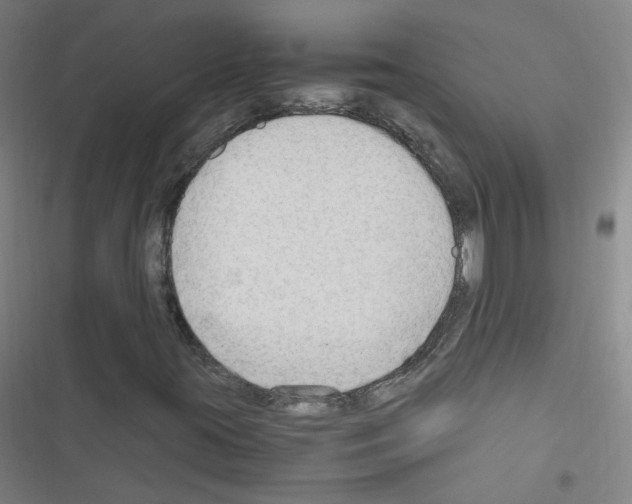 X0000116641395201001251126