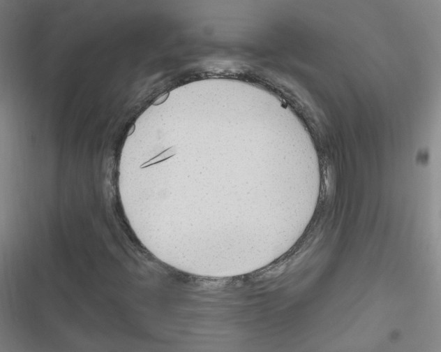 X0000116641396201001251126