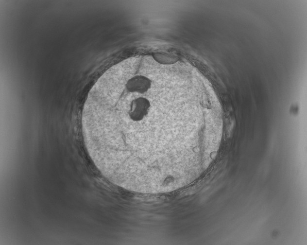 X0000116641397201001251126