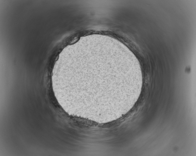 X0000116641398201001251126