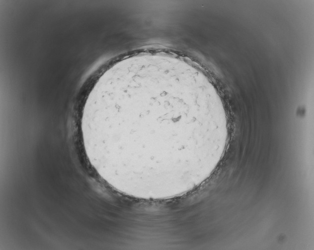 X0000116641400201001251126