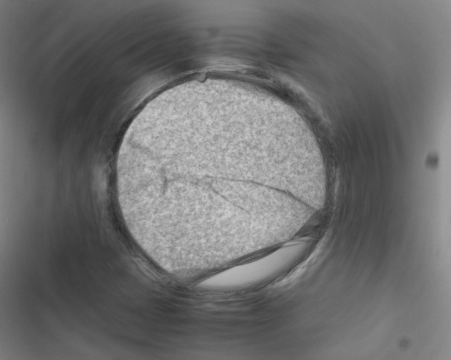 X0000116641401201001251126