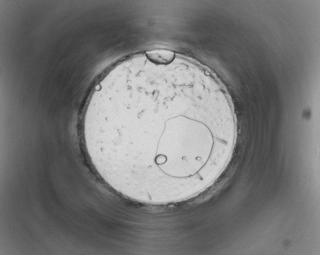 X0000116641404201001251126