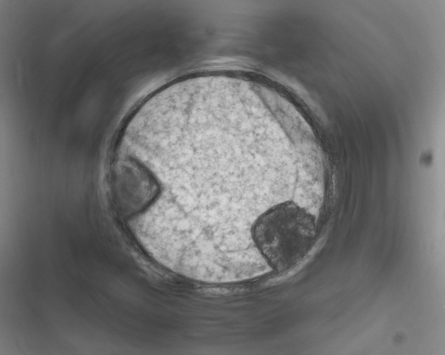 X0000116641405201001251126