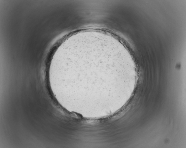 X0000116641406201001251126