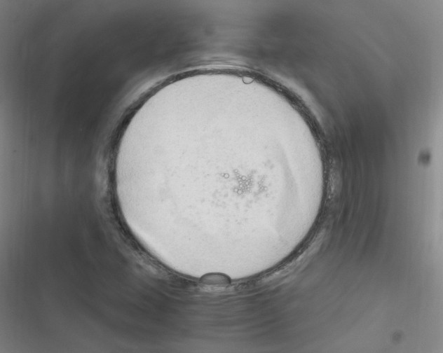 X0000116641407201001251126