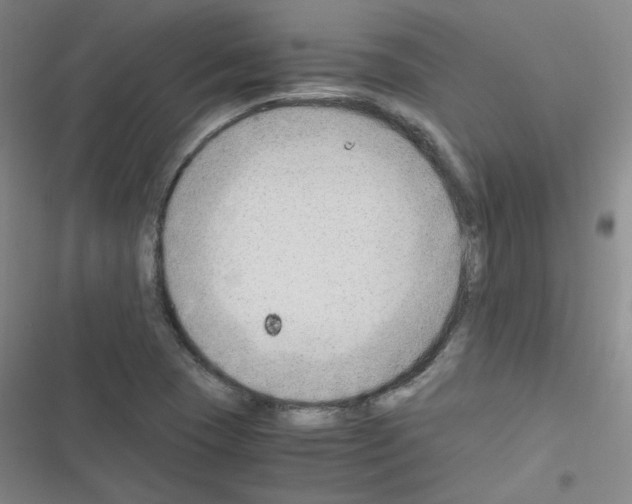 X0000116641409201001251126