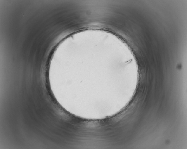 X0000116641410201001251126