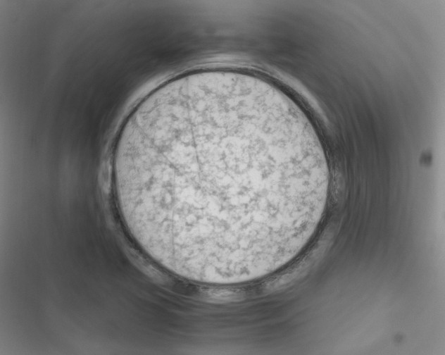 X0000116641413201001251126