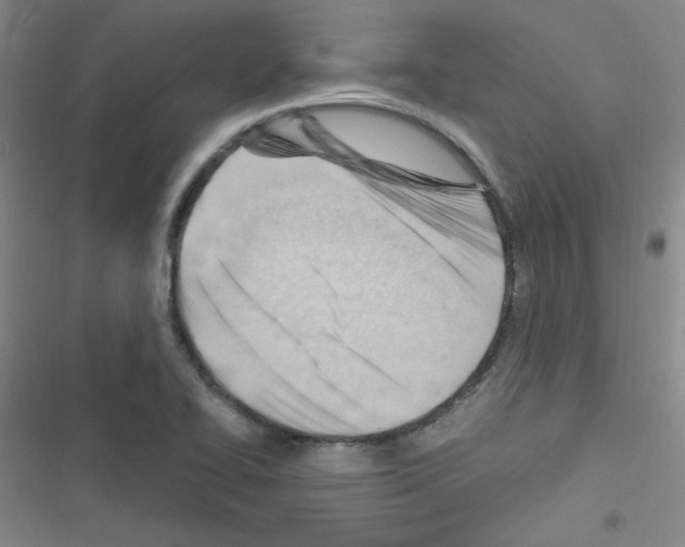 X0000116641414201001251126