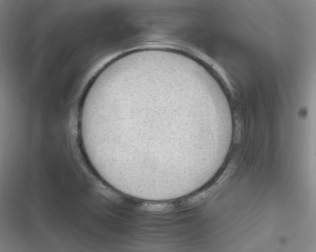 X0000116641415201001251126