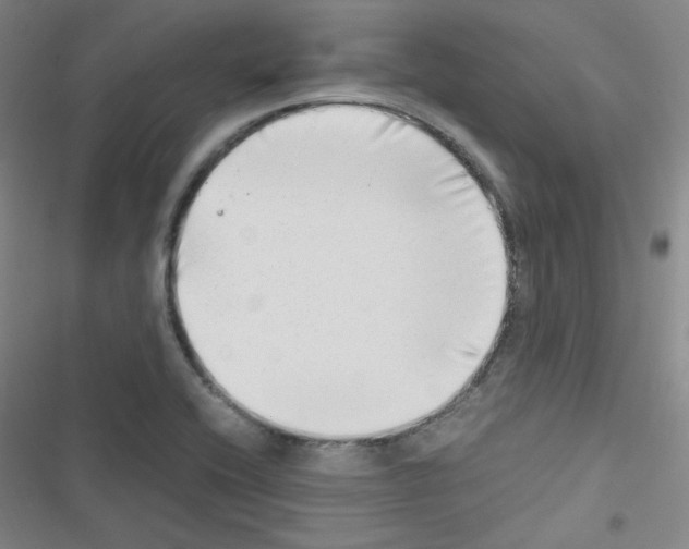 X0000116641416201001251126