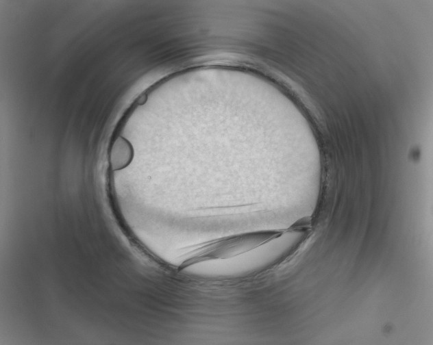 X0000116641418201001251126