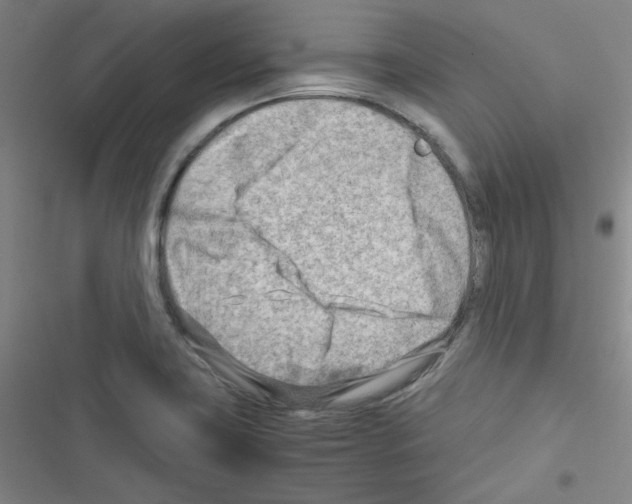 X0000116641419201001251126