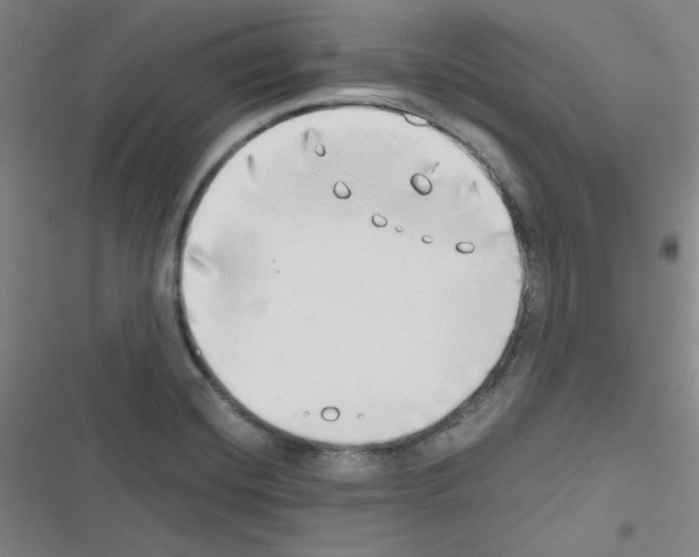 X0000116641420201001251126