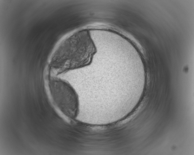 X0000116641421201001251126