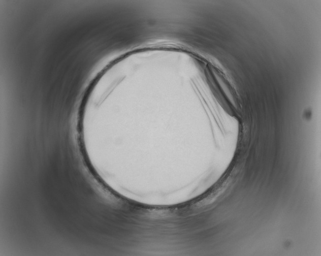 X0000116641422201001251126