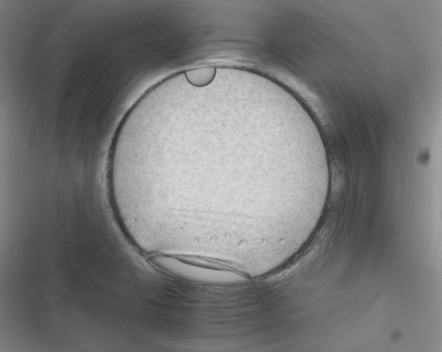 X0000116641423201001251126