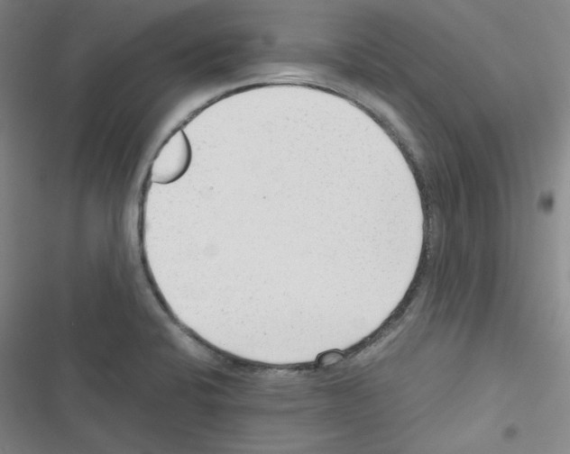 X0000116641424201001251126